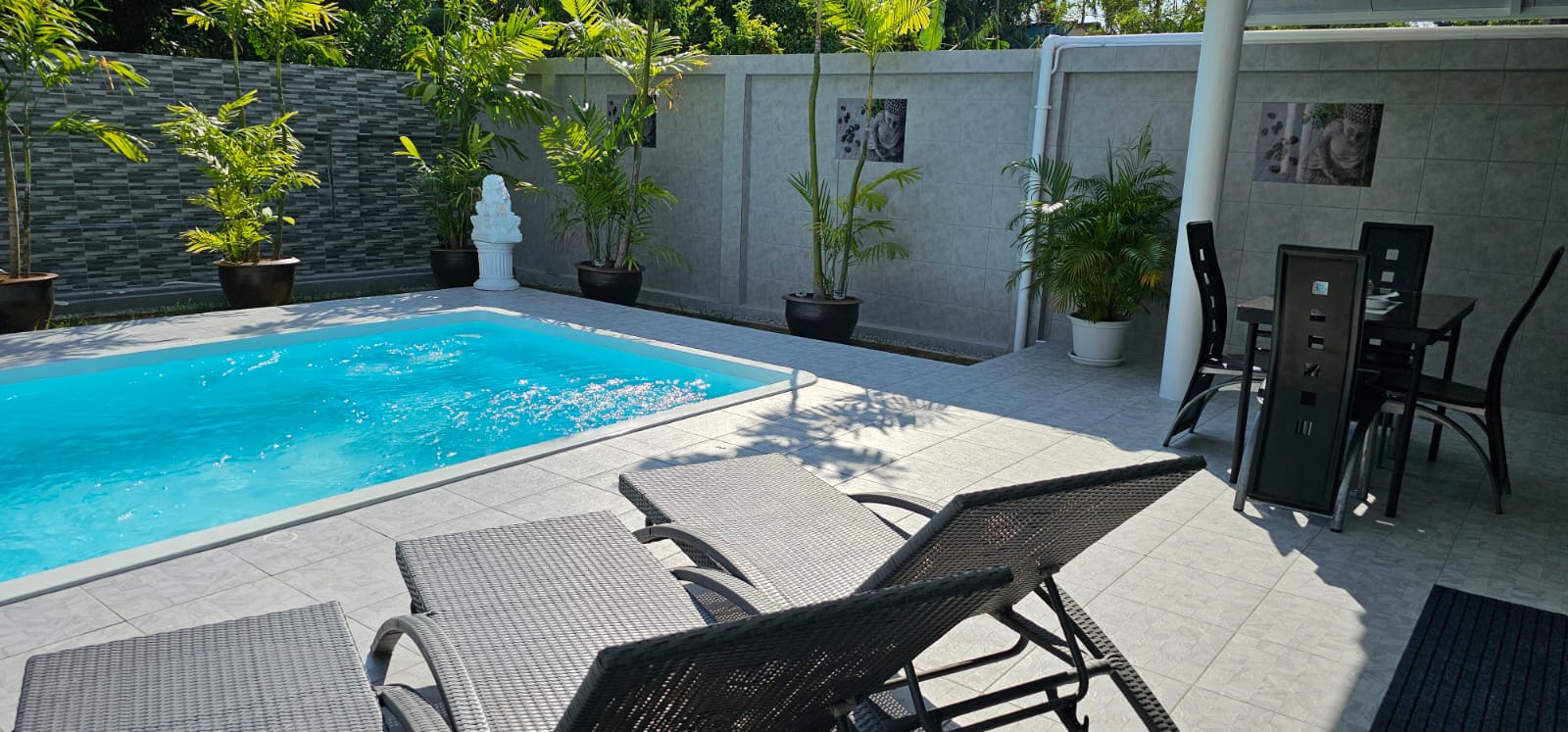 Pool, palms and a covered seating area