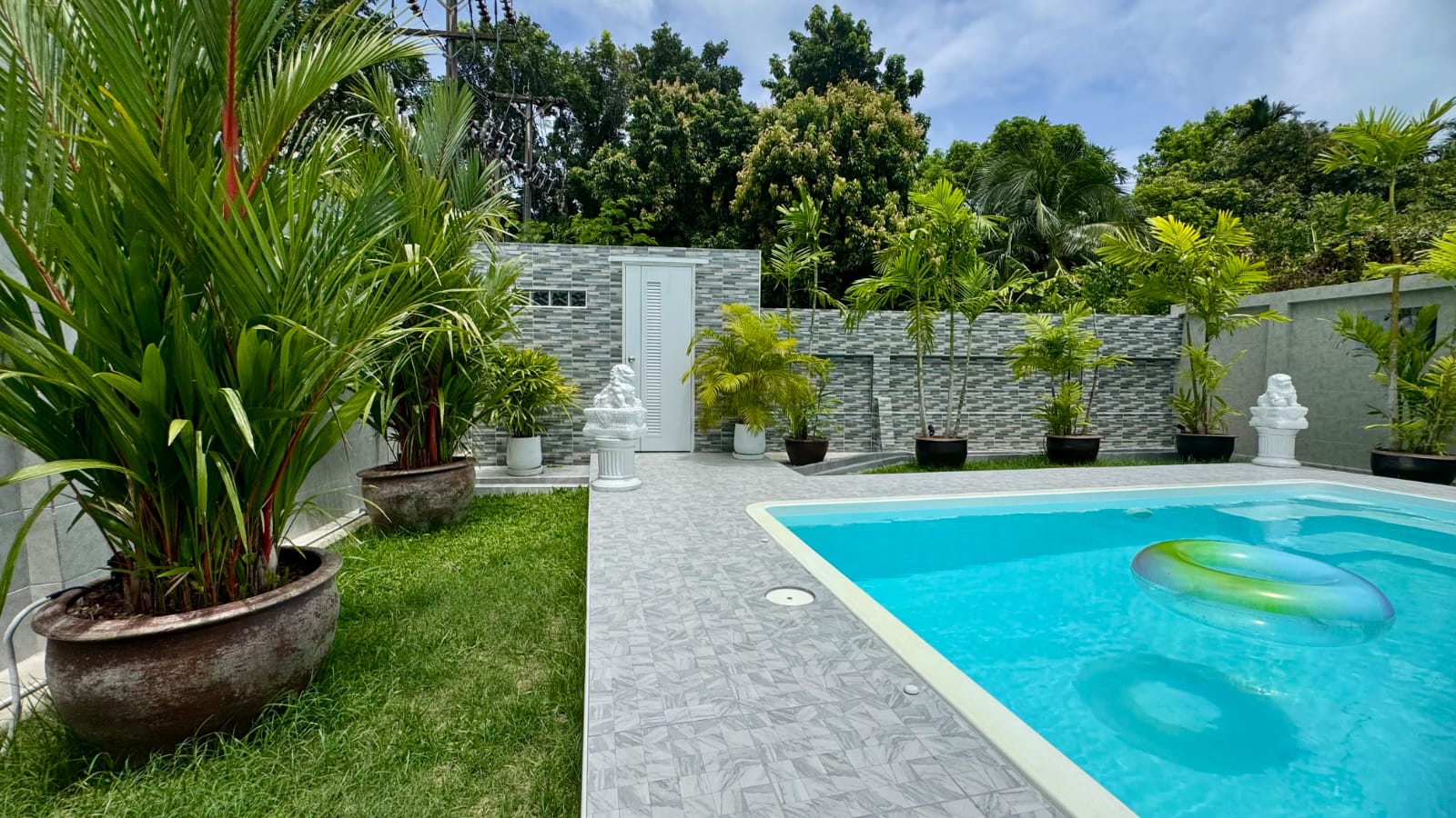 Pool beside a lawn and potted palms